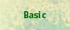  Basic 
