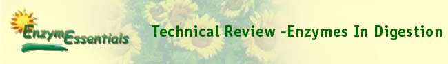  Technical Review -Enzymes In Digestion 