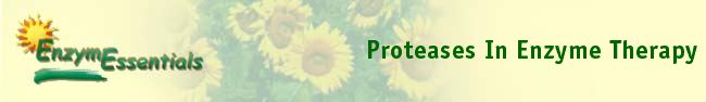  Proteases In Enzyme Therapy 