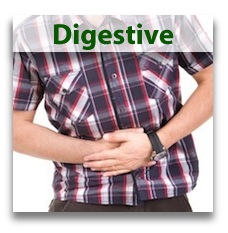 Digestive