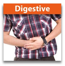 digestive support