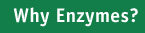 Why Enzymes